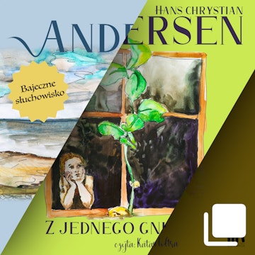 Bajeczne słuchowisko - Andersen